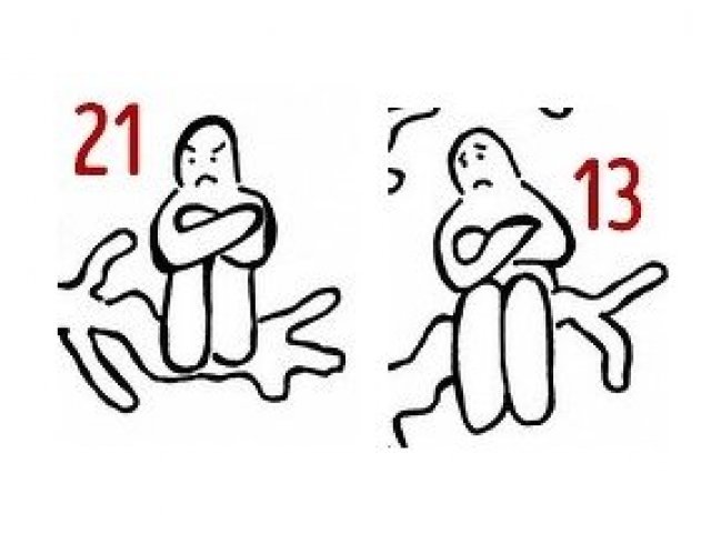13, 21